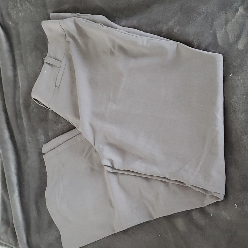Dress pants